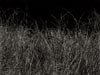 Buy Photography-Contemporary Landscape Photograph