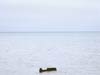 photograph of coastal breakwater Brighton