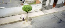 photograph of street cleaner sweeping Guadalajara Mexico 1997