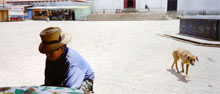 Photograph of Child and street dog  Nebaj Guatemala 1997